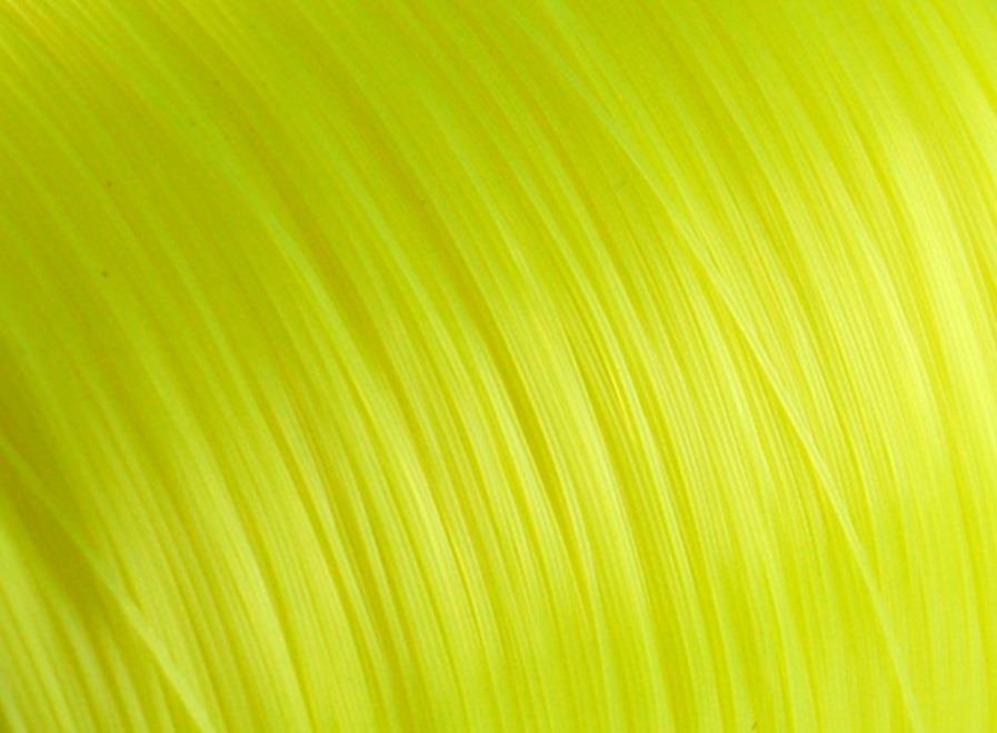 Gamakatsu G-line Element, o gama de fire monofilament cu un raport calitate - pret excelent.